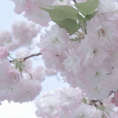 汝南FurryQQ群介绍